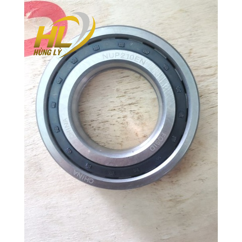 Bi NUP210EN ฟอสอิด**