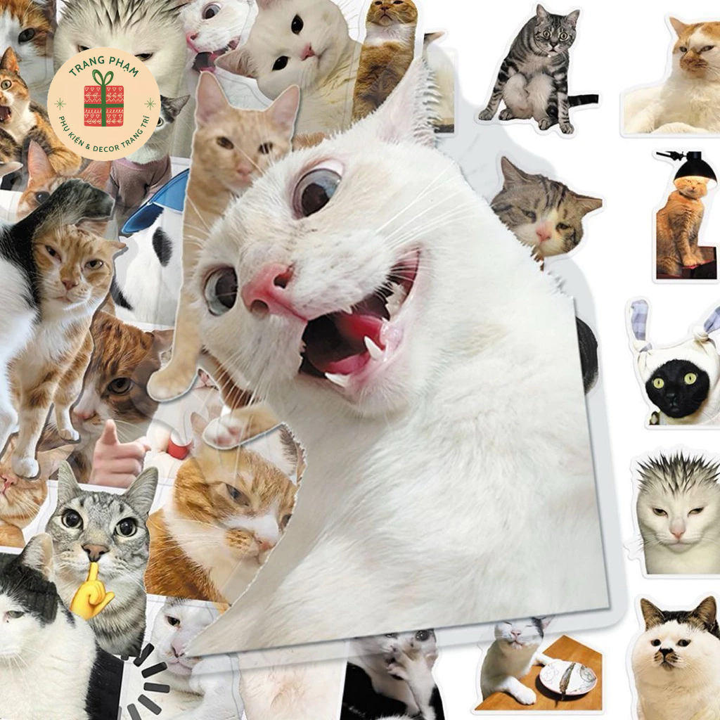 สติ๊กเกอร์แมวตลก สติ๊กเกอร์ Cat Meme หลายสถานะ