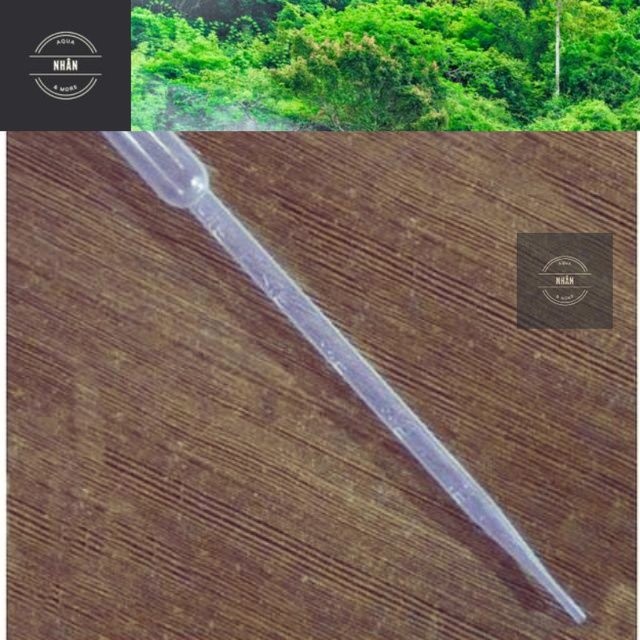 (SH) COMBO of 5 Milk Straws 10ml - pipette 10ml - Aqua Human - จัดส่งรวดเร็วสุดๆ